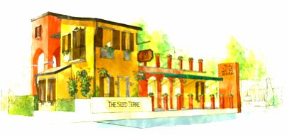 เดอะ ซี้ด เตร์เร่ รัชโยธิน THE SEED TERRE RATCHAYOTHIN